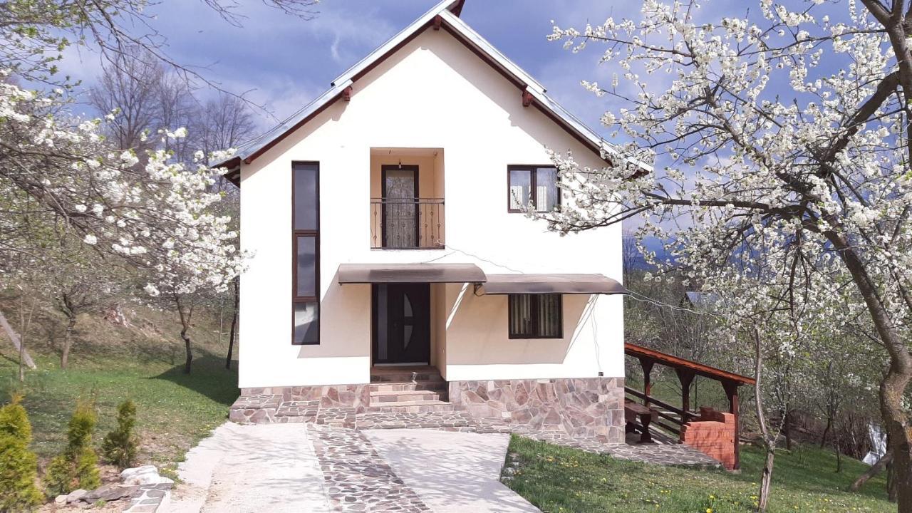 Casa Flutar Villa Moisei Dış mekan fotoğraf