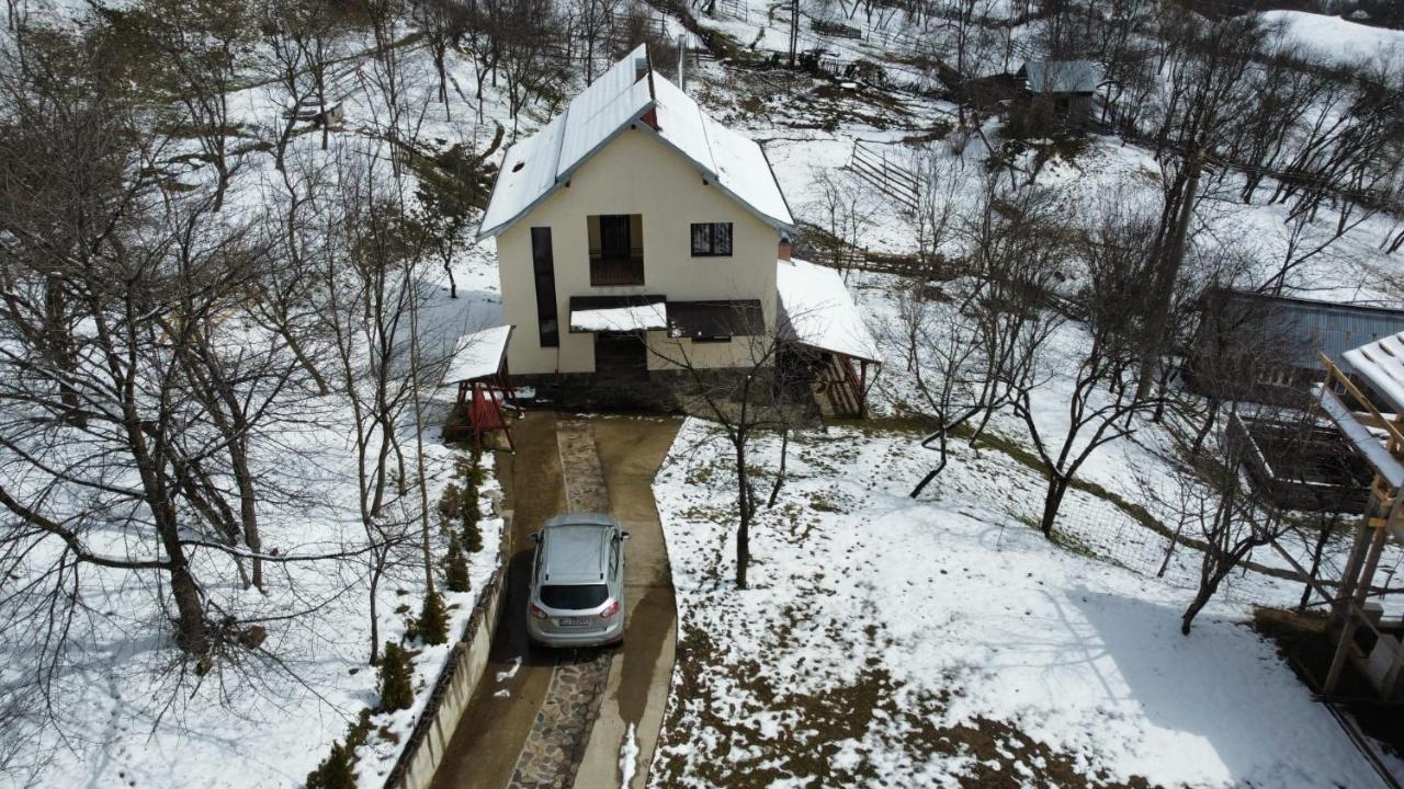 Casa Flutar Villa Moisei Dış mekan fotoğraf