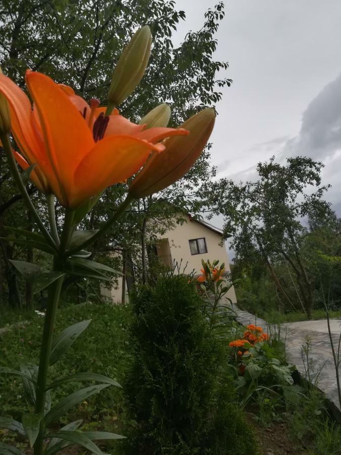 Casa Flutar Villa Moisei Dış mekan fotoğraf