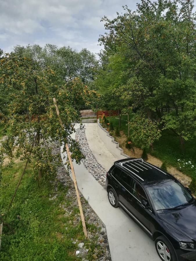 Casa Flutar Villa Moisei Dış mekan fotoğraf