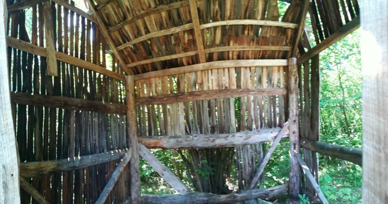 Casa Flutar Villa Moisei Dış mekan fotoğraf